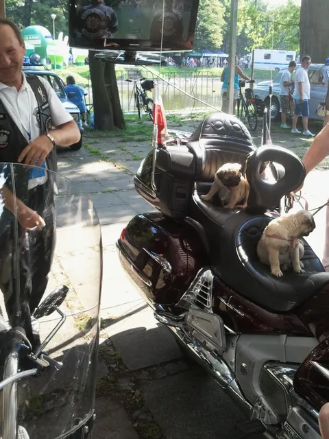 Święto Policji - Agrykola — archiwum Right Riders, 2014