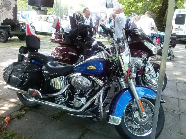 Święto Policji - Agrykola — archiwum Right Riders, 2014