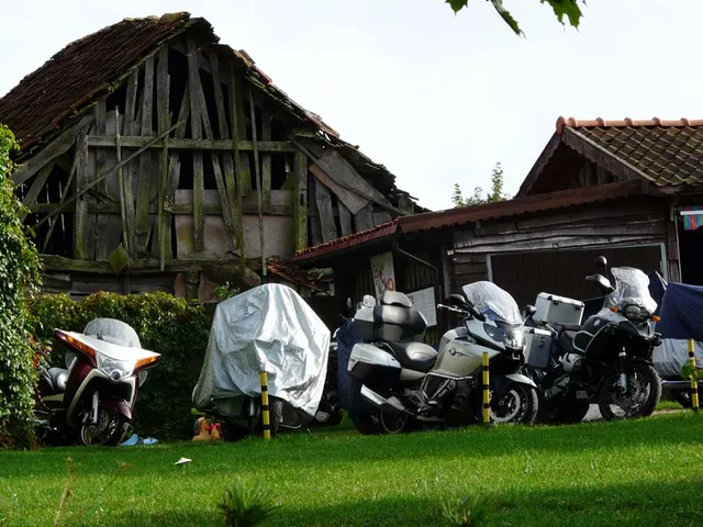 Wygryny 2018 — archiwum Right Riders, 2018