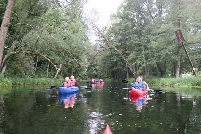 Wygryny 2018 — archiwum Right Riders, 2018