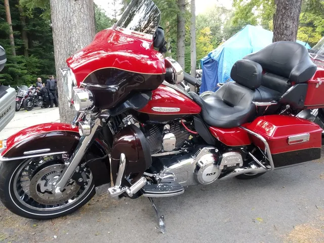 Sherwood Party 2021 — archiwum Right Riders, 2021